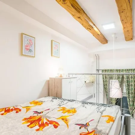 Apartment Apartma N'poznam Tobacna *