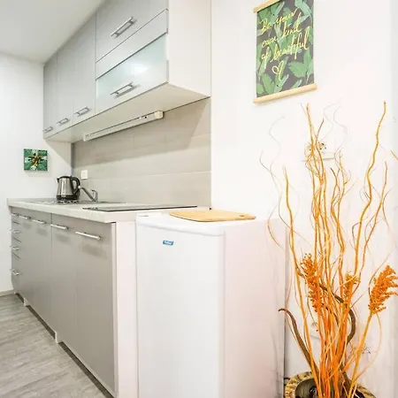Apartma N'poznam Tobacna Apartment *